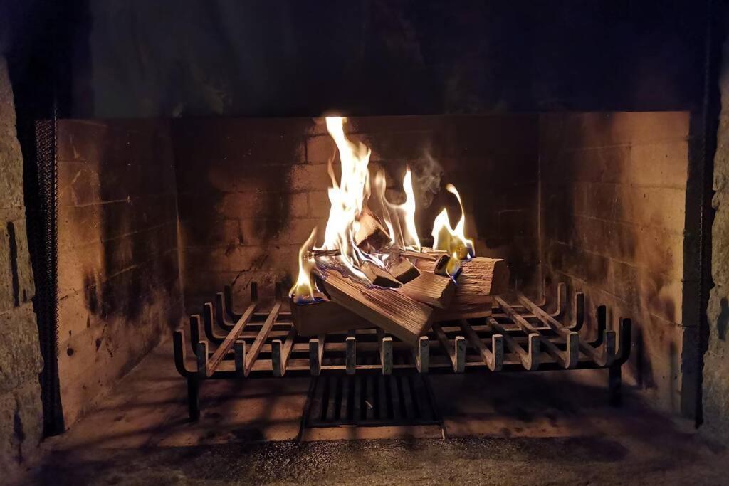 Ferienwohnung In Trin Dış mekan fotoğraf